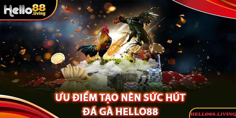 Những ưu điểm tạo nên sức hút đặc biệt của chuyên mục đá gà Hello88