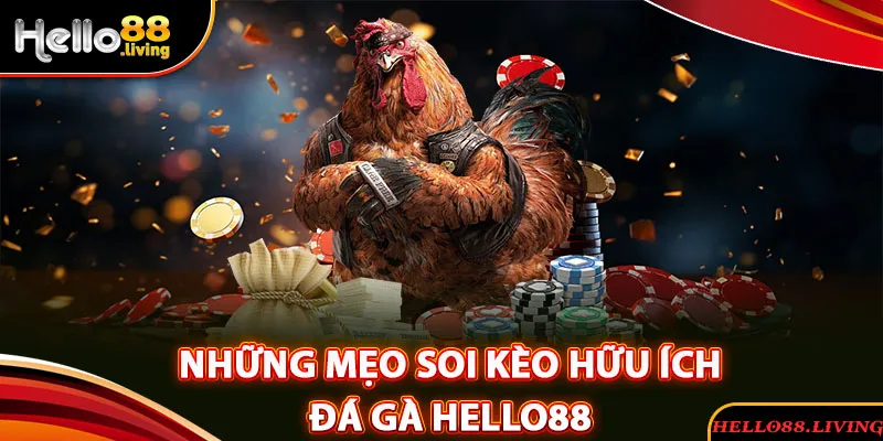 Một vài mẹo soi kèo đá gà hữu ích được bật mí từ cao thủ